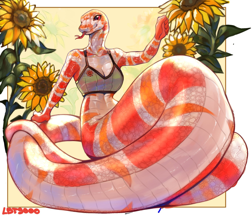 anthro apode belly_scales bra breasts cleavage clothed clothing colubrid corn_snake draconcopode female flower forked_tongue glistening glistening_body hi_res lampropeltini lbt9000 legless orange_body orange_scales plant rat_snake reptile scales scalie serpentine snake solo sunflower tongue tongue_out underwear white_body white_scales