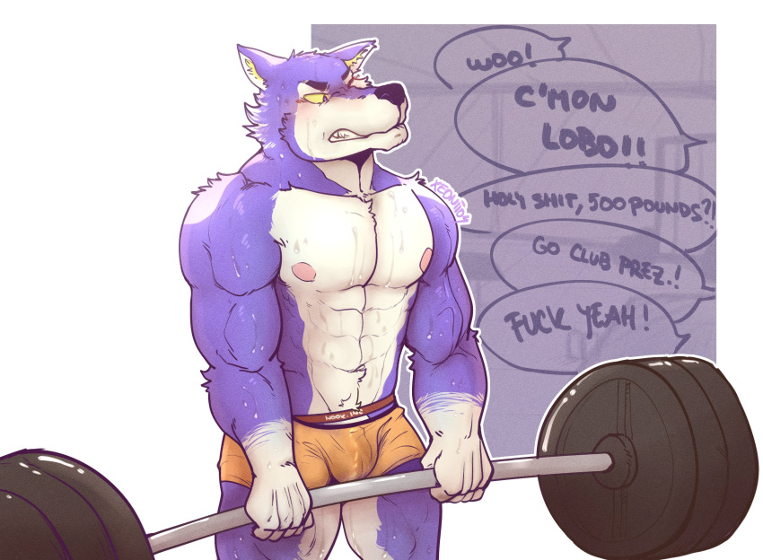 2020 abs animal_crossing anthro barbell biceps blue_body blue_eyes blue_fur blush bodily_fluids bottomwear bulge canid canine canis cheering clothed clothing countershading dialogue digital_media_(artwork) english_text exercise fur gloves_(marking) grimace gym_bottomwear gym_clothing gym_shorts hi_res holding_object imperial_unit lobo_(animal_crossing) male mammal markings muscular muscular_anthro muscular_male nintendo nipples profanity shorts signature simple_background solo speech_bubble sweat text text_on_clothing text_on_underwear topless topless_anthro topless_male underwear unseen_character veiny_muscles video_games weightlifting white_background white_body white_fur wolf workout xeoniios yellow_bottomwear yellow_clothing yellow_sclera yellow_shorts