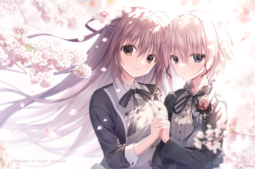 2girls absurdres backlighting black_jacket black_ribbon blush breasts brown_eyes buttons character_request cherry_blossoms closed_mouth collared_shirt copyright_request flat_chest flower frilled_shirt frills grey_eyes grey_shirt highres holding_hands inugami_kira jacket light long_hair looking_at_viewer medium_breasts medium_hair multiple_girls neck_ribbon open_clothes open_jacket pink_flower pink_hair red_flower red_rose ribbon rose school_uniform shirt sidelocks smile standing striped striped_jacket upper_body vertical-striped_jacket vertical_stripes white_shirt yuri