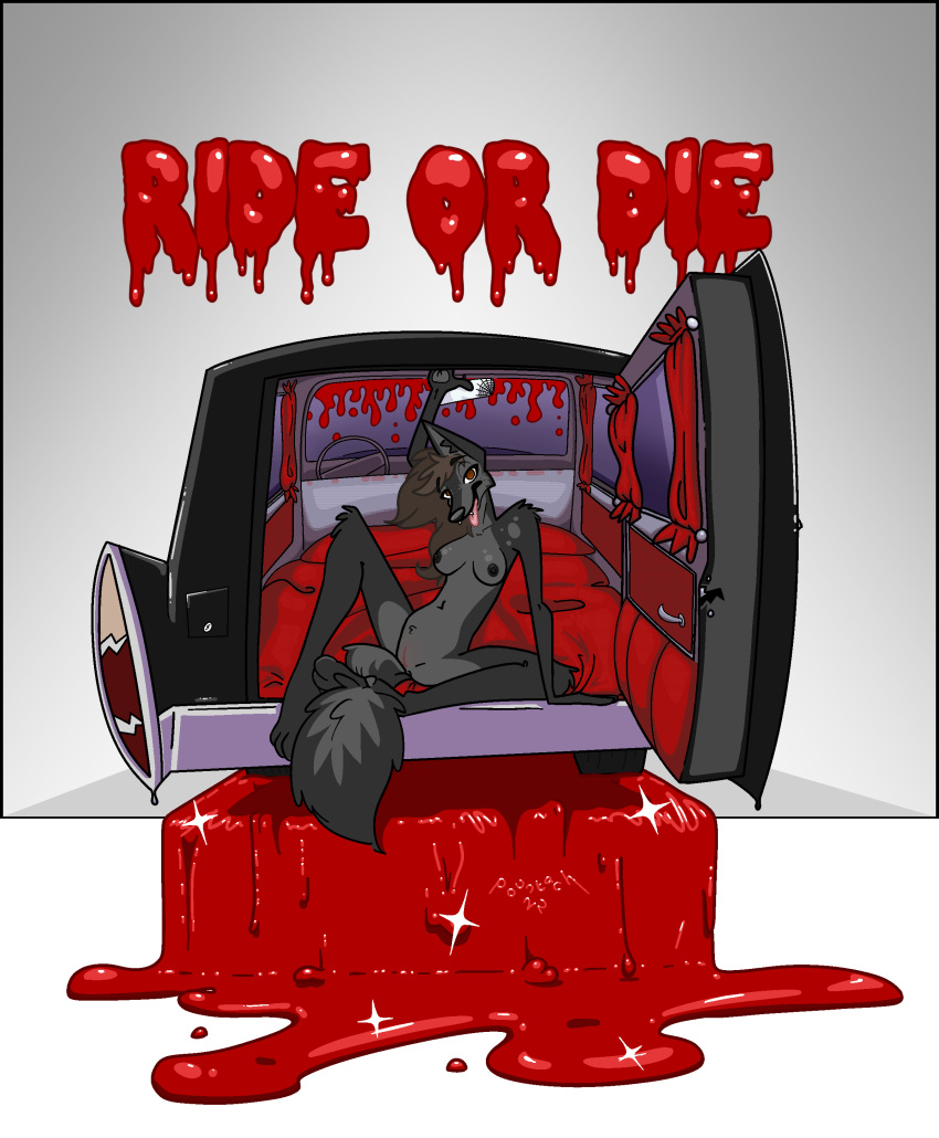 absurd_res anthro bed_sheet bedding blood bodily_fluids breasts cadillac canid canine canis car dakota_(serarel) domestic_dog female genitals hearse hi_res mammal open_door open_mouth paws pose pountach pussy solo spread_legs spreading text vehicle wolf