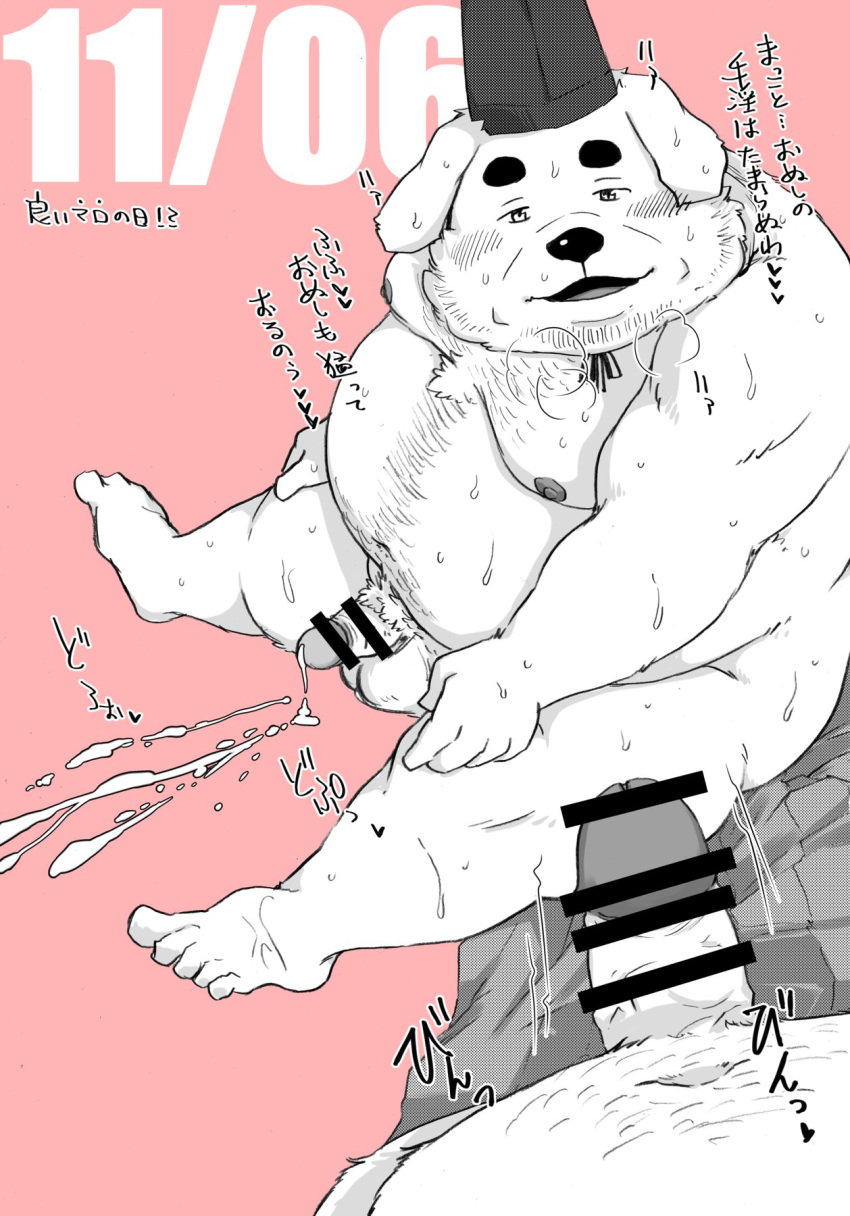 2022 anthro balle belly big_belly blush bodily_fluids canid canine canis censored censored_penis clothing cum domestic_dog duo erection genital_fluids genitals hat headgear headwear hi_res humanoid_genitalia humanoid_hands humanoid_penis japanese_text kemono male male/male mammal moobs nipples overweight overweight_male penis shintatokoro sitting solo_focus text