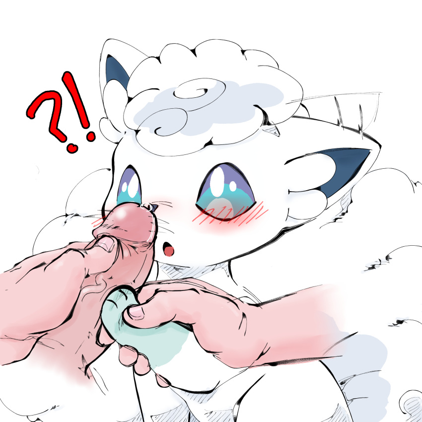 absurd_res aka_leopard alolan_form alolan_vulpix bestiality disembodied_penis duo female feral genitals hi_res human human_on_feral interspecies male male/female male_on_feral mammal nintendo oral penis penis_sniffing pokemon pokemon_(species) pokephilia regional_form_(pokemon) video_games white_body