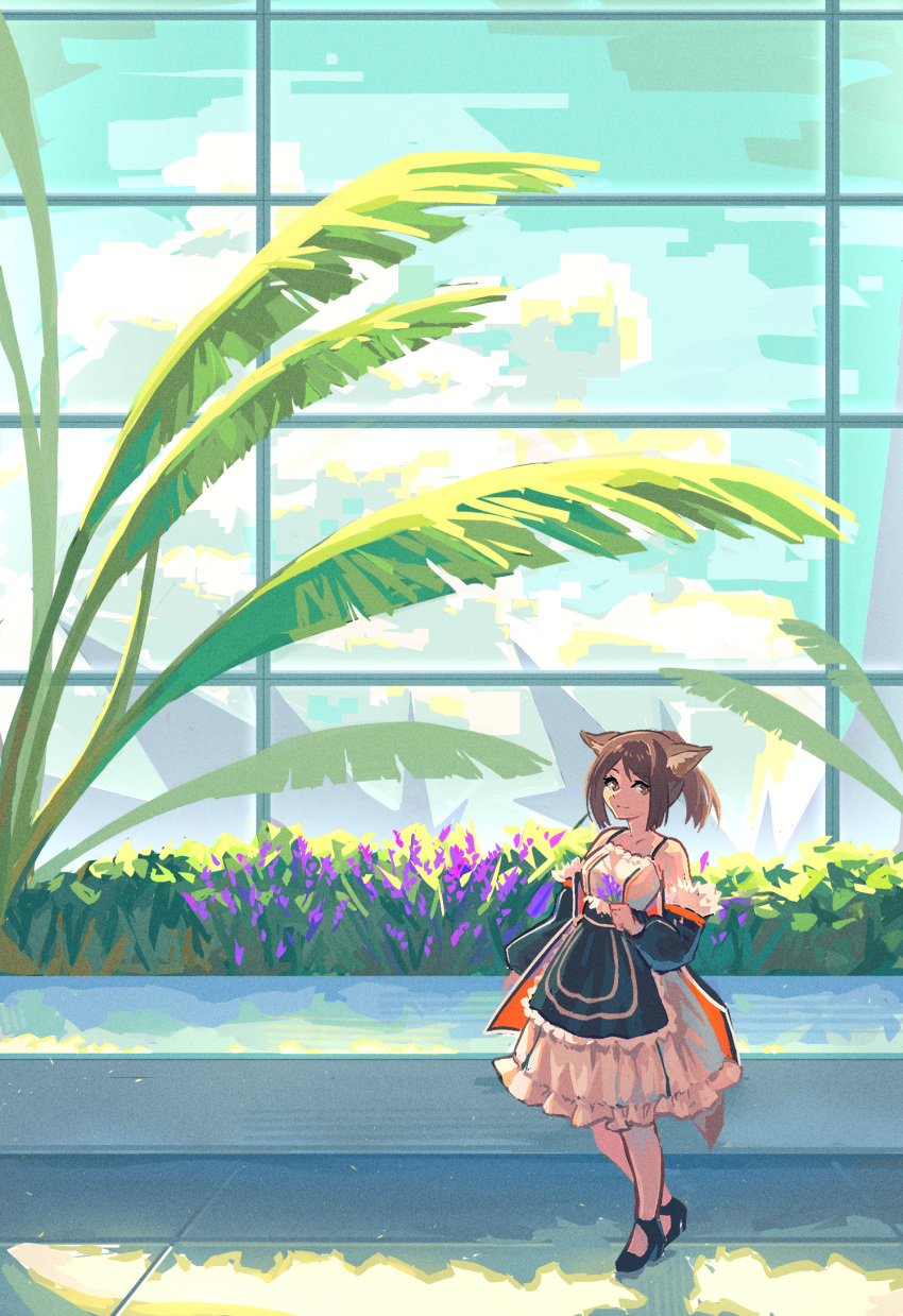 1girl animal_ears arknights black_footwear blue_jacket brown_eyes brown_hair dress flower fox_ears fox_girl fox_tail greenhouse highres holding holding_flower indoors jacket looking_at_viewer off_shoulder open_clothes open_jacket pantyhose perfumer_(arknights) plant purple_flower shoes smile solo sunkreativ tail white_dress white_pantyhose wide_shot window
