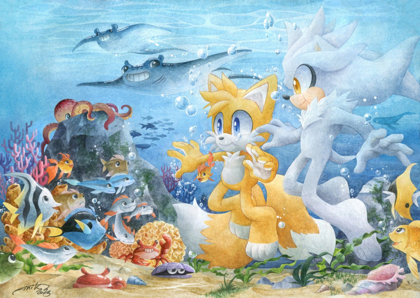 2boys air_bubble alternate_costume animal_ears barefoot blue_eyes brown_eyes bubble coral crab finik fish furry furry_male manta_ray multiple_boys octopus rock sand shell signature silver_the_hedgehog sonic_(series) tail tails_(sonic) underwater