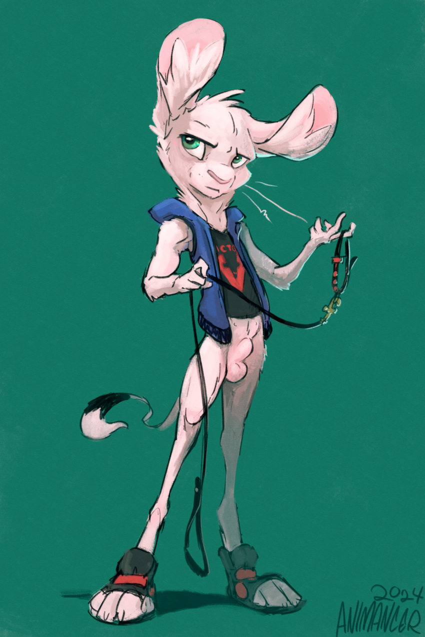 2:3 animal_genitalia animancer balls belly_nipples bottomless clothed clothing collar cutoff_sleeves dipodid footwear fur genitals green_eyes hi_res jerboa leash luck_(animancer) male mammal mouse_trap rodent sheath trap_(contrivance) white_body white_fur