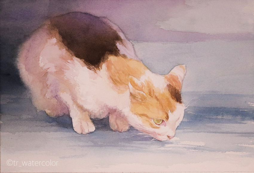 all_fours animal animal_focus cat highres light looking_down no_humans original painting_(medium) realistic shadow toyonaga_ryouhei traditional_media watercolor_(medium) yellow_eyes