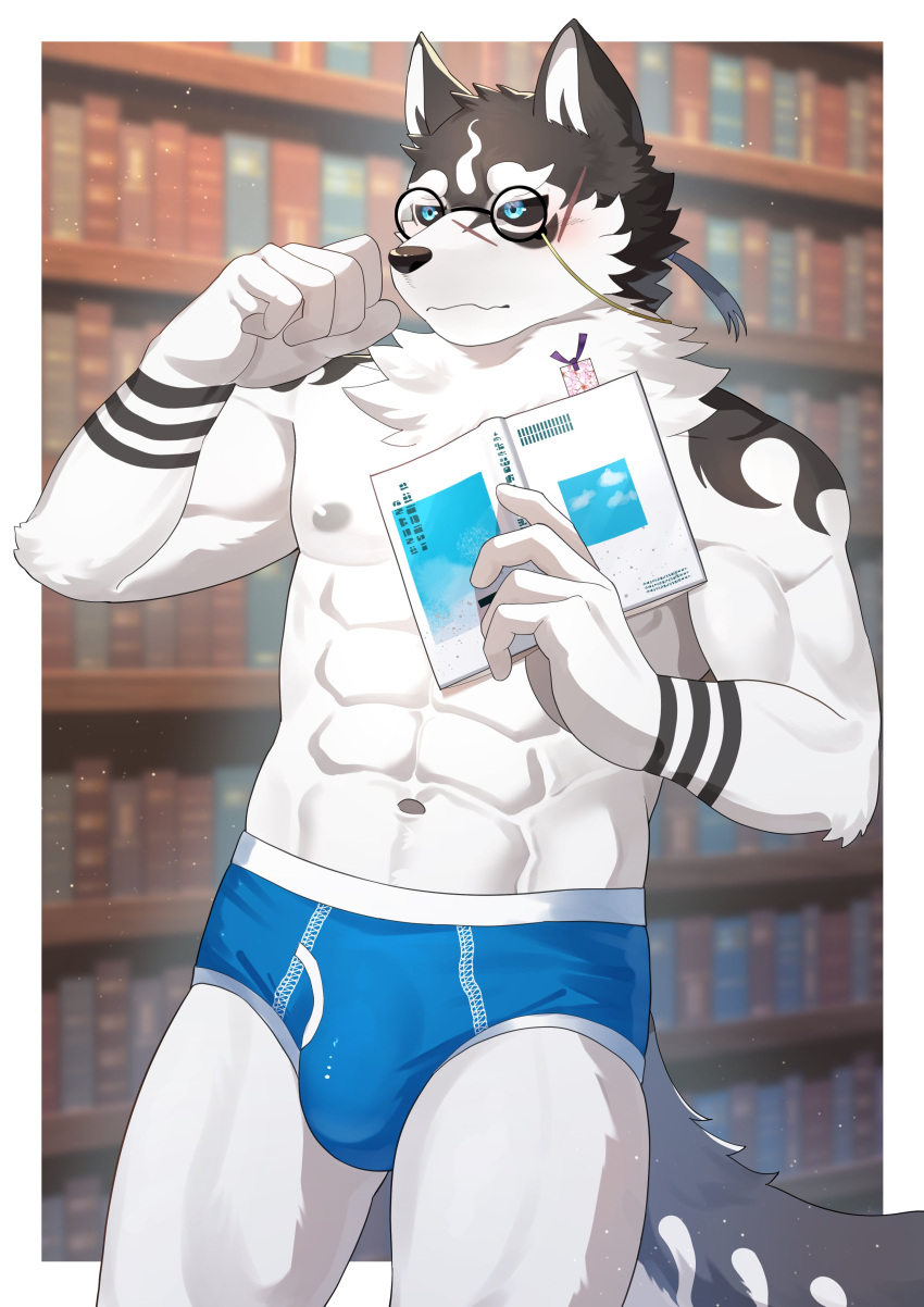 abs absurd_res agitongunohoken anthro black_and_white_fur black_sclera blue_eyes blush book briefs bulge clothing hi_res library lifewonders male masanori_(tas) muscular muscular_anthro muscular_male navel nipples pecs solo tokyo_afterschool_summoners underwear