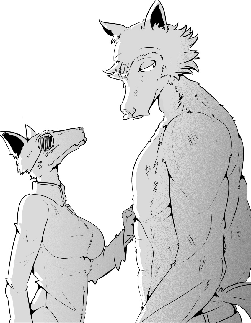 abs absurd_res anthro beastars canid canine canis clothed clothing duo eye_patch eyewear female fox furry_bb greyscale hi_res legoshi_(beastars) male mammal monochrome muscular muscular_male pecs scar ten_(beastars) topless wolf
