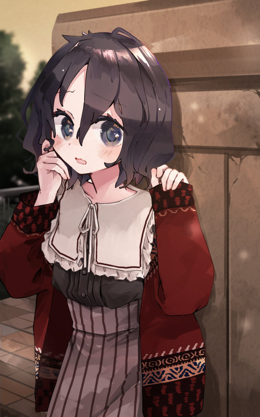 1girl alternate_costume black_hair blue_eyes casual collar commentary_request cowboy_shot dress embarrassed frilled_collar frills grey_dress hand_in_own_hair highres kaban_(kemono_friends) kemono_friends long_sleeves looking_at_viewer nanana_(nanana_iz) red_sweater short_hair solo sweater white_collar