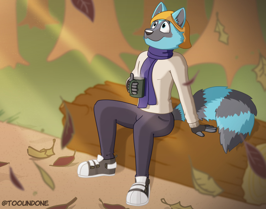 anthro beanie blue_body blue_eyes blue_fur bottomwear canid canine canis closed_smile clothed clothing denim denim_clothing digital_media_(artwork) footwear fur grey_body grey_fur hair hat headgear headwear hi_res holding_object hoodie jeans leaf male mammal mouth_closed outside pants plant procyonid purple_clothing raccoon raccoon_dog scarf shoes simple_background sitting smile sneakers solo steam sweater tooey tooundone topwear wolf zipper