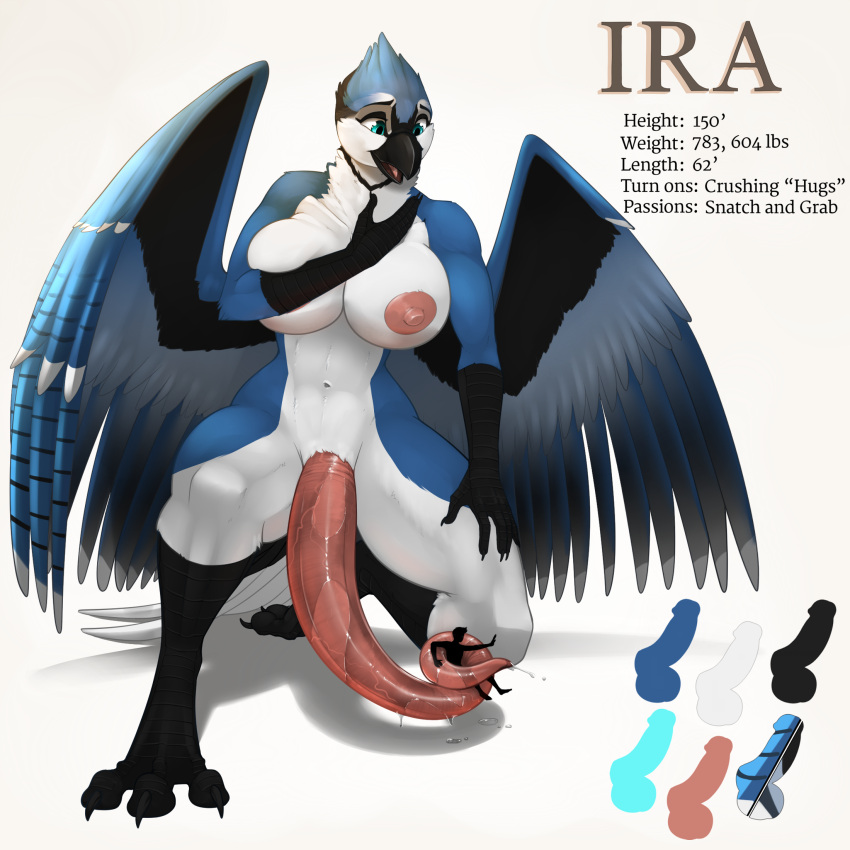 2022 anthro areola avian bird blue_jay bodily_fluids breasts corvid digital_media_(artwork) draco32588 duo english_text extreme_size_difference fasttrack37d fingers genital_fluids genitals hi_res ira_(draco32588) jay_(bird) model_sheet navel new_world_jay nipples nude oscine passerine penis simple_background size_difference text wings