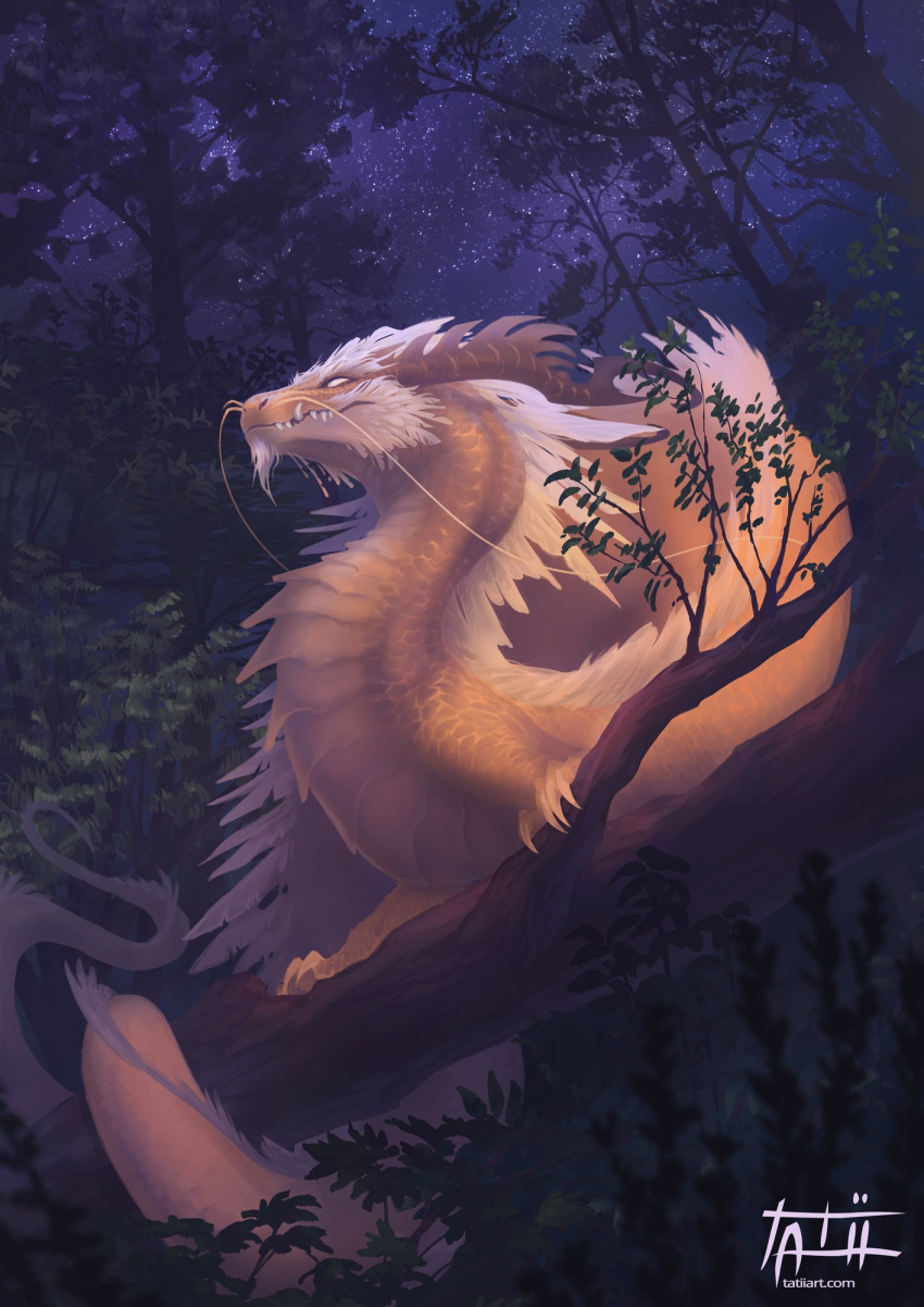 2022 asian_mythology claws detailed_background digital_media_(artwork) dragon east_asian_mythology eastern_dragon forest fur furred_dragon grass hair hi_res horn membrane_(anatomy) membranous_wings mythology night outside plant scales scalie sky spines star starry_sky tatiilange tree white_hair wings