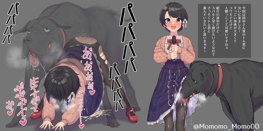 1girl :d all_fours ass bestiality black_hair blue_eyes blush cardigan commission cum cum_on_floor dog doggystyle frilled_skirt frills high-waist_skirt highres holding holding_microphone hololive long_skirt long_sleeves looking_at_viewer microphone neck_ribbon nose_blush oozora_subaru pantyhose pink_cardigan red_ribbon ribbon saliva sex sex_from_behind shirt short_hair skeb_commission skirt smile standing sweatdrop tongue tongue_out torn_pantyhose translation_request virtual_youtuber white_shirt x-ray yoshiwa_tomo
