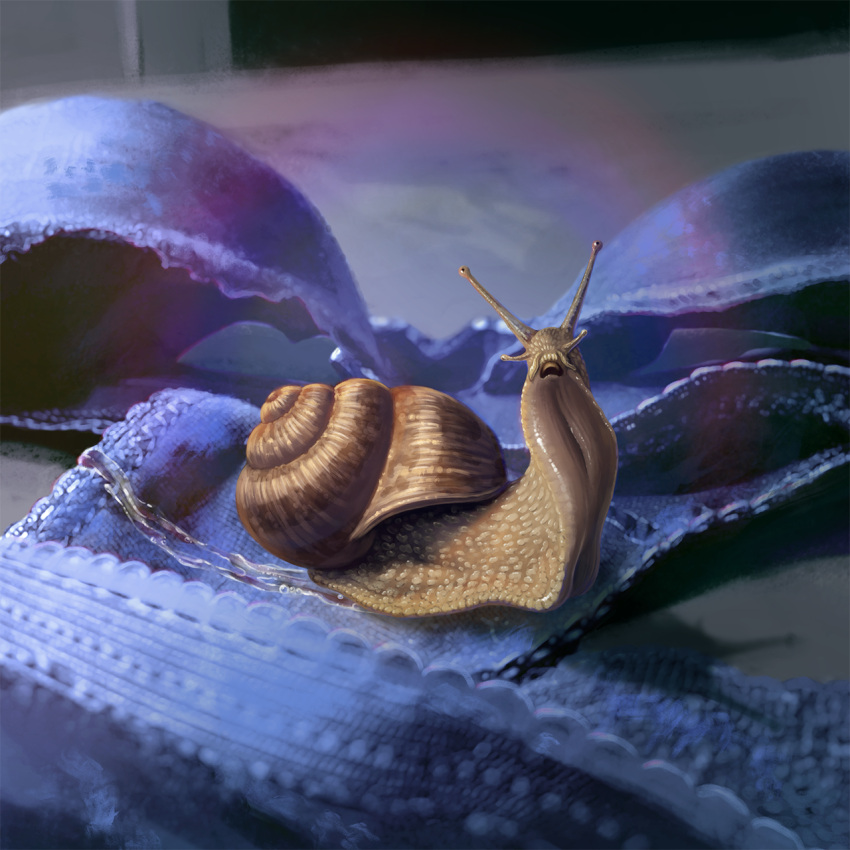 1:1 ambiguous_gender bra brown_shell clothing detailed feral full-length_portrait gastropod hi_res himeragoldtail mollusk open_mouth portrait shell side_view snail solo tan_body underwear