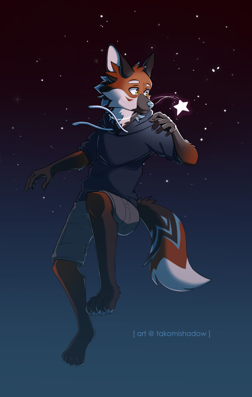 absurd_res bottomwear canid canine clothing feral hi_res hoodie male mammal maned_wolf night shorts simple_background solo star starscape suspension takomishadow topwear yellow_eyes