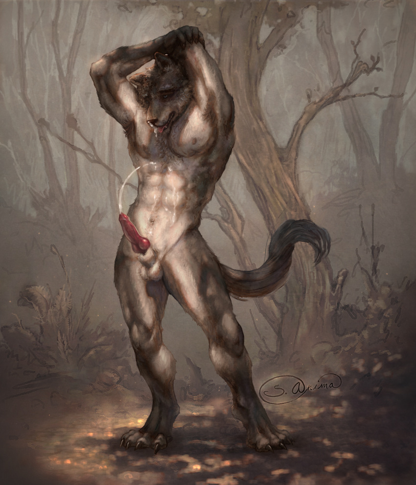 absurd_res animal_genitalia animal_penis anthro balls biped canid canine canis digitigrade ejaculation erection forest genitals hi_res male mammal nipples nude outside penis plant s_anima solo tree wolf