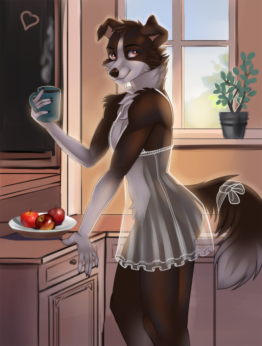 &lt;3 2020 anthro apple beverage biped brown_eyes canid canine clothing digital_media_(artwork) female folded_ears hi_res holding_beverage holding_object hot_beverage inside lingerie looking_at_viewer mammal novery plant plant_pot potted_plant shaded solo standing steam translucent translucent_clothing translucent_lingerie window