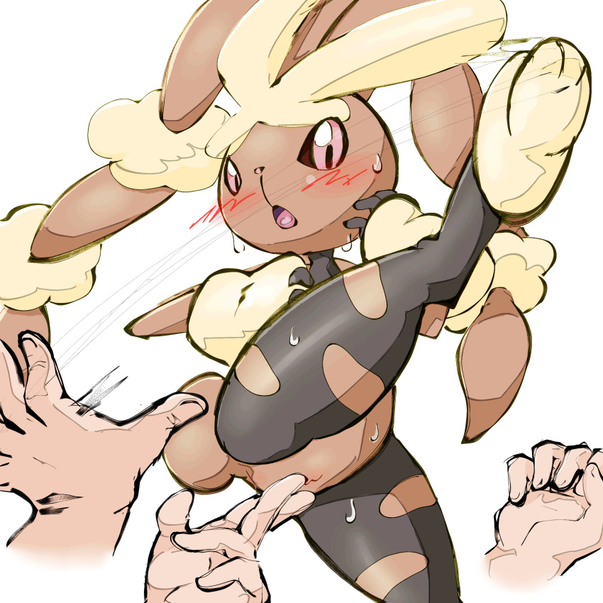 1:1 absurd_res aka_leopard anthro blush brown_body disembodied_hand duo female fingering generation_4_pokemon genitals hi_res human lopunny male male/female mammal nintendo pokemon pokemon_(species) pussy simple_background vaginal vaginal_fingering video_games white_background