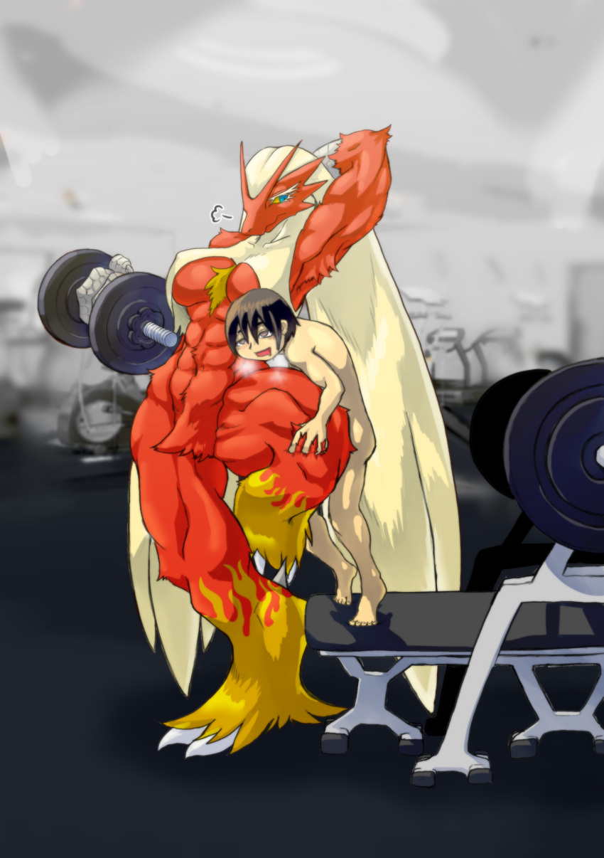 abs absurd_res anthro anthro_penetrated anthrofied armpit_tuft bench_press big_breasts blaziken blue_eyes breasts brown_eyes brown_hair chest_tuft claws detailed_background dumbbell exercise feathers female generation_3_pokemon gym hair hand_behind_head hi_res human human_on_anthro human_penetrating human_penetrating_anthro inside interspecies ketsuneko knee_sex larger_anthro larger_female larger_penetrated male mammal muscular muscular_anthro muscular_female nintendo nude on_one_leg penetration photo_background pokemon pokemon_(species) pokephilia pubes red_body red_feathers sex size_difference small_waist smaller_human smaller_male standing steam thick_thighs tuft unusual_penetration video_games weightlifting weights wide_hips workout yellow_body yellow_feathers yellow_sclera