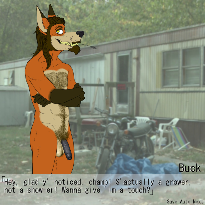 anthro balls body_hair buck_renart canid canine chest_hair crossed_arms english_text facial_hair fangs flaccid fox foxmusk genitals goatee happy_trail hi_res humanoid_genitalia humanoid_penis looking_at_viewer male mammal mullet nude penis photo_background pubes redneck scruffy smile smirk solo standing text video_games visual_novel yellow_teeth