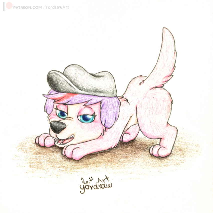 2022 ass_up black_nose canid canine canis clothing cute_eyes domestic_dog female feral fur hair hasbro hat headgear headwear hi_res littlest_pet_shop looking_at_viewer mammal paws pink_body pink_fur purple_hair solo traditional_media_(artwork) yordraw zoe_trent