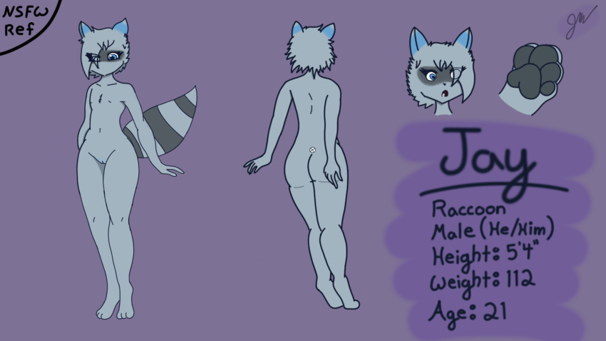 andromorph anthro clothing genitals girly hi_res intersex jay_(localraccoon) legwear localraccoon male mammal model_sheet pawpads paws procyonid pussy raccoon small_waist solo thigh_highs