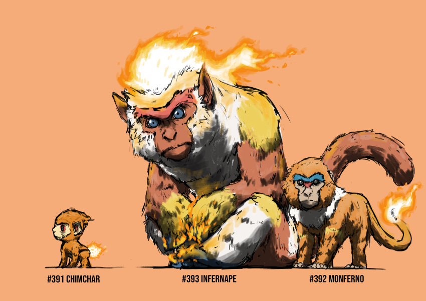 absurdres all_fours animal_focus black_eyes blacknirrow blue_eyes character_name chimchar closed_mouth commentary english_commentary english_text evolutionary_line fiery_hair flame-tipped_tail full_body fur_collar highres infernape looking_at_viewer monferno monkey no_humans orange_background orange_hair orange_theme pokedex_number pokemon pokemon_(creature) realistic simple_background sitting sketch