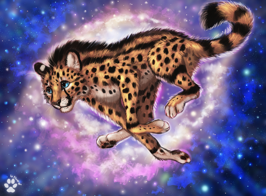 2022 4_toes ambiguous_gender black_nose blue_eyes cheetah digital_media_(artwork) feet felid feline feral flashw fur mammal paws solo spots spotted_body spotted_fur toes