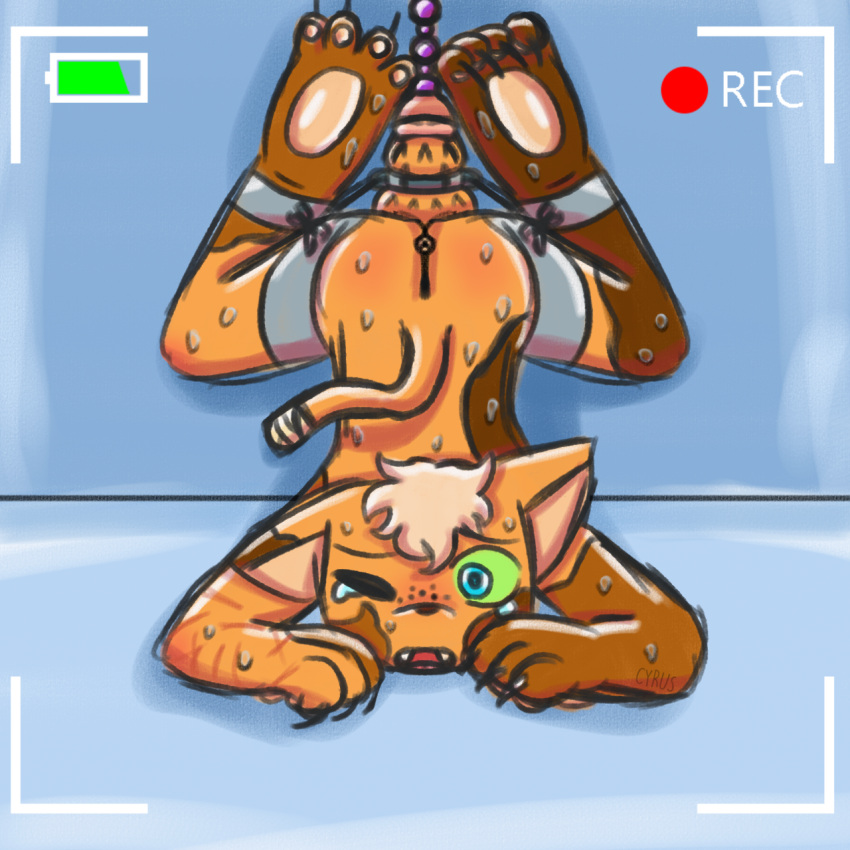 4_toes amputated_tail anal_beads anal_beads_in_penis anal_beads_in_urethra animal_genitalia animal_penis anthro anus barefoot bdsm blush bodily_fluids bondage bound brown_body brown_fur butt claws crying cuff_(restraint) digital_drawing_(artwork) digital_media_(artwork) digital_painting_(artwork) feet felid feline fingers forced freckles fur genitals hair hi_res hindpaw humiliation male mammal nude open_mouth pawpads paws penetration penile penis recording restraints scar self-harm_scars sex_toy sex_toy_in_penis sex_toy_in_urethra sex_toy_insertion shackles shaded signature simple_background solo story story_in_description submissive sweat tears toe_claws toes upside_down urethral urethral_penetration