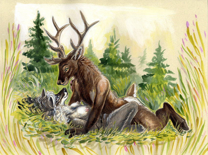 anthro antlers breasts brown_body brown_fur cadmiumtea canid canine canis cervid cervine duo elk female female_on_bottom from_front_position fur grey_body grey_fur hair happy happy_sex hooves horn interspecies looking_at_another lying male male/female male_on_top mammal missionary_position nipples on_back on_bottom on_ground on_top outside plant predator/prey romantic romantic_couple sex short_tail smile traditional_media_(artwork) tree white_hair wolf