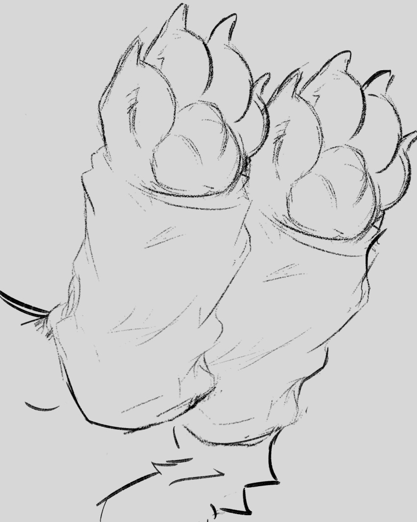 ambiguous_form ambiguous_gender hi_res monochrome paws sketch terryskaii_(artist) warmers