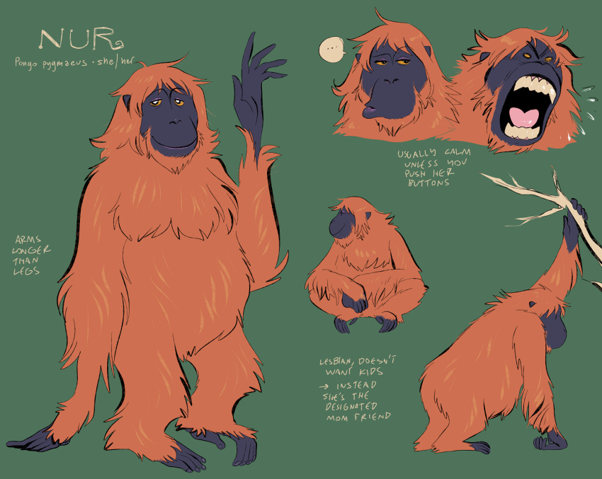 ape english_text expressions female feral haplorhine mammal model_sheet nude orangutan primate solo spoonfayse stated_homosexuality stated_sexuality text