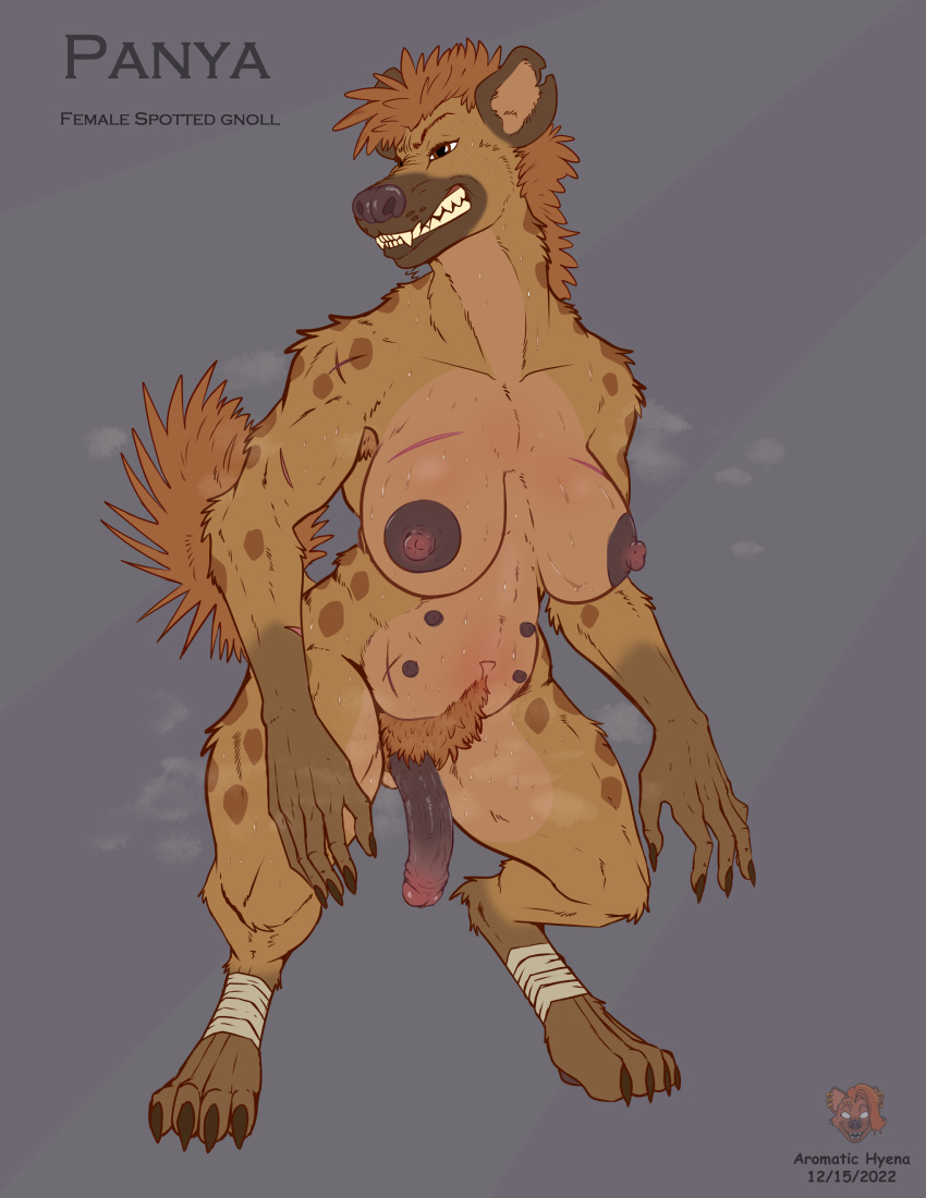 absurd_res animal_genitalia big_breasts bodily_fluids breasts female genitals gnoll hairy hi_res hyena monster musk nipples pseudo-penis pubes scar spotted_hyena sweat