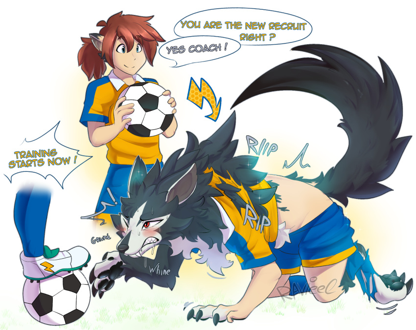 ball black_body black_fur blush bodily_fluids bottomwear canid canine canis claws cleats clenched_teeth clothing duo english_text feral fur fur_growth growth hi_res human human_to_feral inazuma_eleven_go male mammal one_eye_closed pawpads ravieel red_eyes shorts soccer_ball soccer_uniform species_transformation sportswear sweat tail_growth teeth text torn_clothing transformation tsurugi_kyousuke uniform wolf