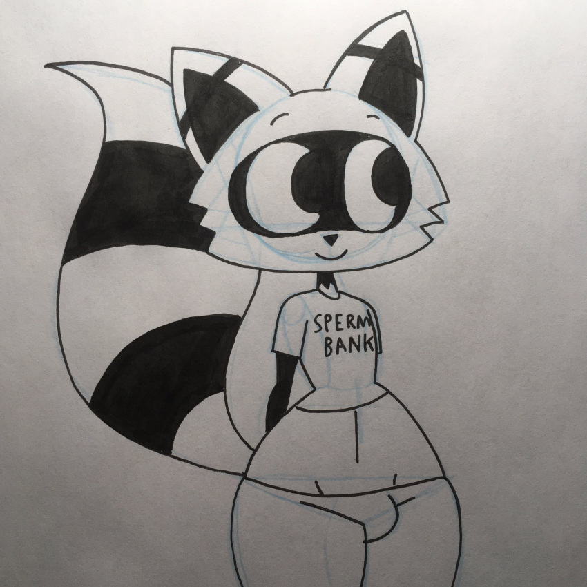 anthro black_body bulge english_text girly hi_res male mammal multicolored_body procyonid raccoon rexon02 simple_background solo text thick_thighs traditional_media_(artwork) two_tone_body white_background white_body wide_hips