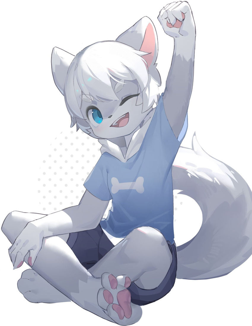 1boy barefoot bishounen blue_eyes blue_shirt bone_print clenched_hand commentary commentary_request crossed_legs cub furry grey_fur highres male_focus one_eye_closed original outstretched_arm shirt tail teeth two-tone_fur upper_teeth_only white_fur white_hair zhutangyuan