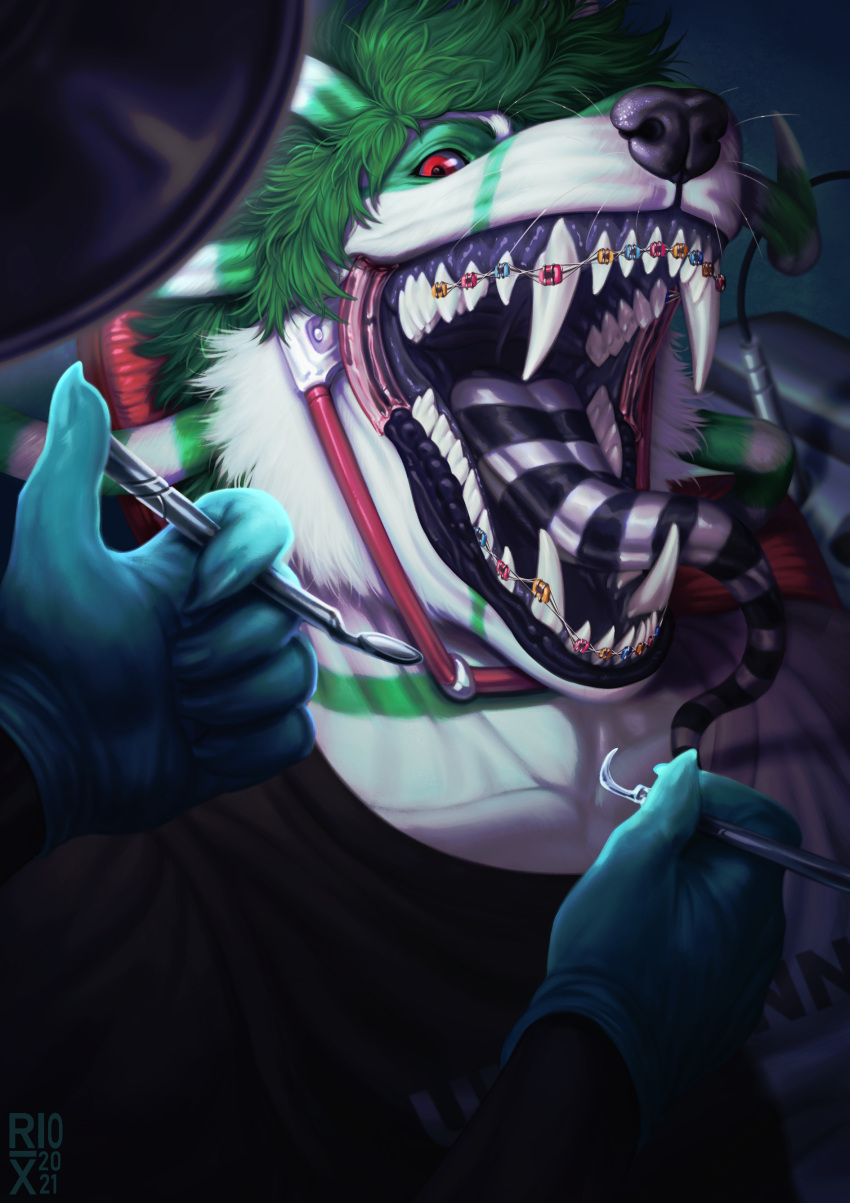 2021 absurd_res ambiguous_gender anthro artist_logo big_fangs black_clothing black_sclera black_tongue black_topwear braces canid clothed clothing dated dental_gag duo gag glistening glistening_eyes green_body green_eyes green_tongue hi_res logo looking_at_viewer male male_focus mammal mouth_shot open_mouth red_eyes riorix simple_background solo_focus spreader_gag striped_tongue tongue topwear whiskers white_body white_clothing white_tongue white_topwear