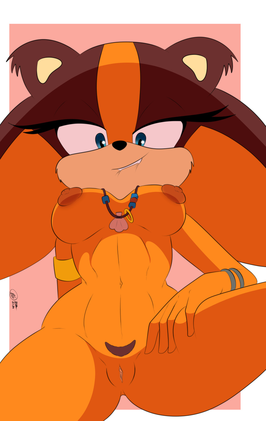 2022 absurd_res anthro areola badger blue_eyes breasts bunbunmuffins digital_media_(artwork) eyelashes female fingers genitals hi_res mammal mustelid musteline nipples pussy sega simple_background solo sonic_boom sonic_the_hedgehog_(series) spread_legs spreading sticks_the_jungle_badger