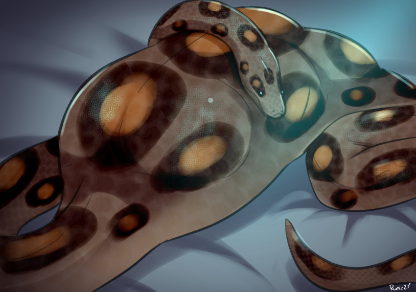 absurd_res bed brown_body brown_scales digital_media_(artwork) duo female female_prey feral furniture hi_res human mammal on_bed reptile rupie_(artist) scales scalie snake vore