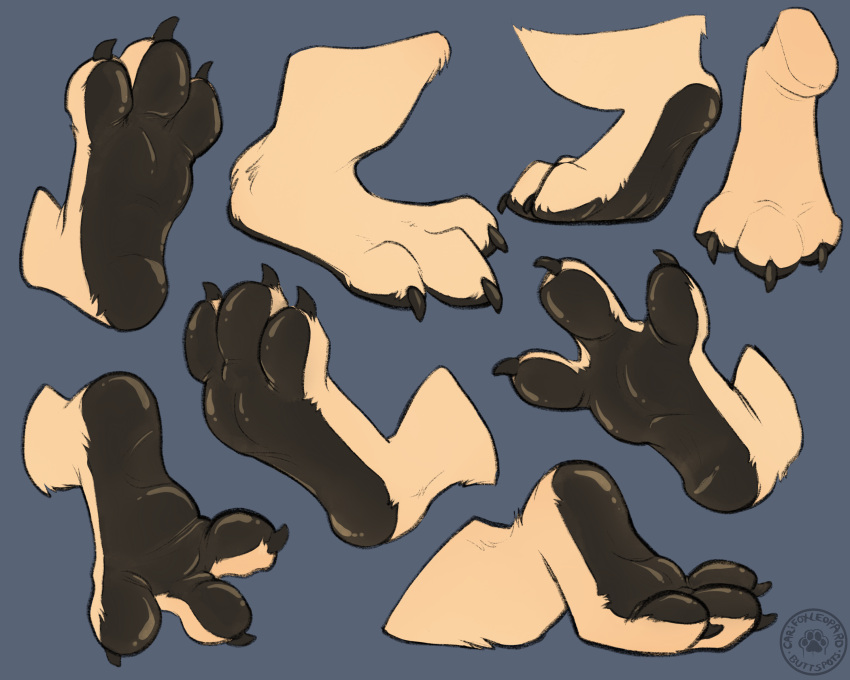 3_toes absurd_res black_pawpads blue_background carifoxleopard claws feet feral foot_focus fur generation_2_pokemon hi_res male mike_(mrmellow) nintendo pawpads paws pokemon pokemon_(species) raised_heel raised_toes simple_background soles spread_toes tan_body tan_fur toe_curl toes typhlosion video_games