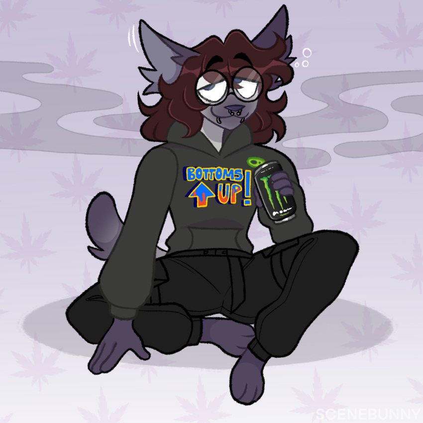 anthro bottomwear brown_hair clothing domestic_cat eyewear facial_piercing felid feline felis fur glasses grey_body grey_fur hair hi_res hoodie lip_piercing long_hair looking_at_viewer male mammal nose_piercing pants piercing purple_body purple_fur scenebunny septum_piercing short_tail siamese sitting solo text text_on_clothing topwear valery_funika