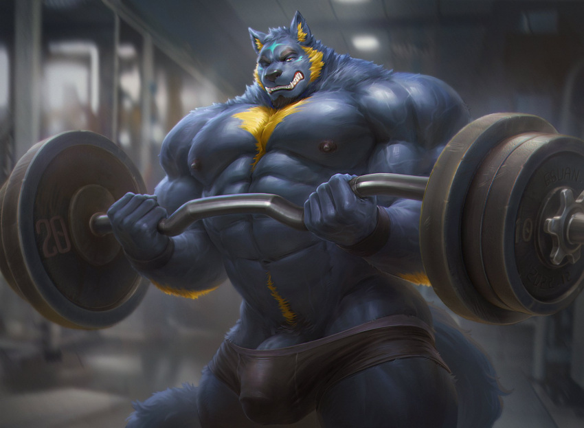 2022 6suan abs anthro arm_hair barazoku barbell beard biceps big_bulge big_muscles big_penis blurred_background body_hair bulge canid canine canis chest_hair clenched_teeth clothed clothing detailed_bulge exercise eyebrows facial_hair fur genital_outline genitals gym hair happy_trail hi_res huge_muscles humanoid_genitalia humanoid_penis inside looking_at_viewer male mammal muscular muscular_anthro muscular_male navel nipples number obliques one_eye_closed pecs penis penis_base penis_outline pubes solo standing teeth thick_thighs topless topless_anthro topless_male tuft underwear vein veiny_muscles weightlifting wolf workout wristband