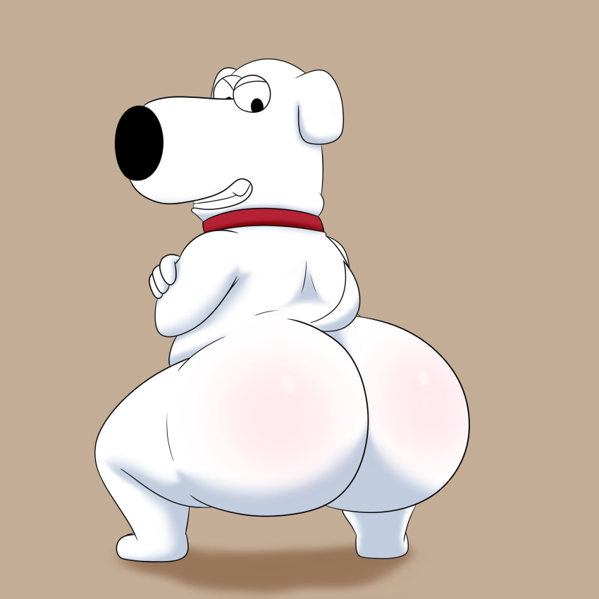 anthro big_butt brian_griffin butt canid canine canis collar crouching domestic_dog family_guy fur hi_res male mammal presenting presenting_hindquarters red_collar solo unknown_artist white_body white_fur