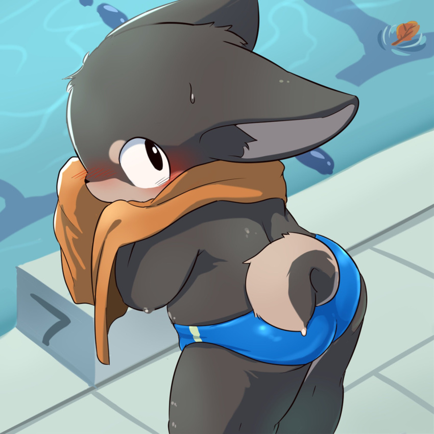 blue_clothing blue_speedo blue_swimwear bodily_fluids butt canid canine canis clothing curling_tail domestic_dog hi_res kemono looking_back mammal moketiw speedo swimming_pool swimwear towel towel_around_neck water_drip wiping_face young