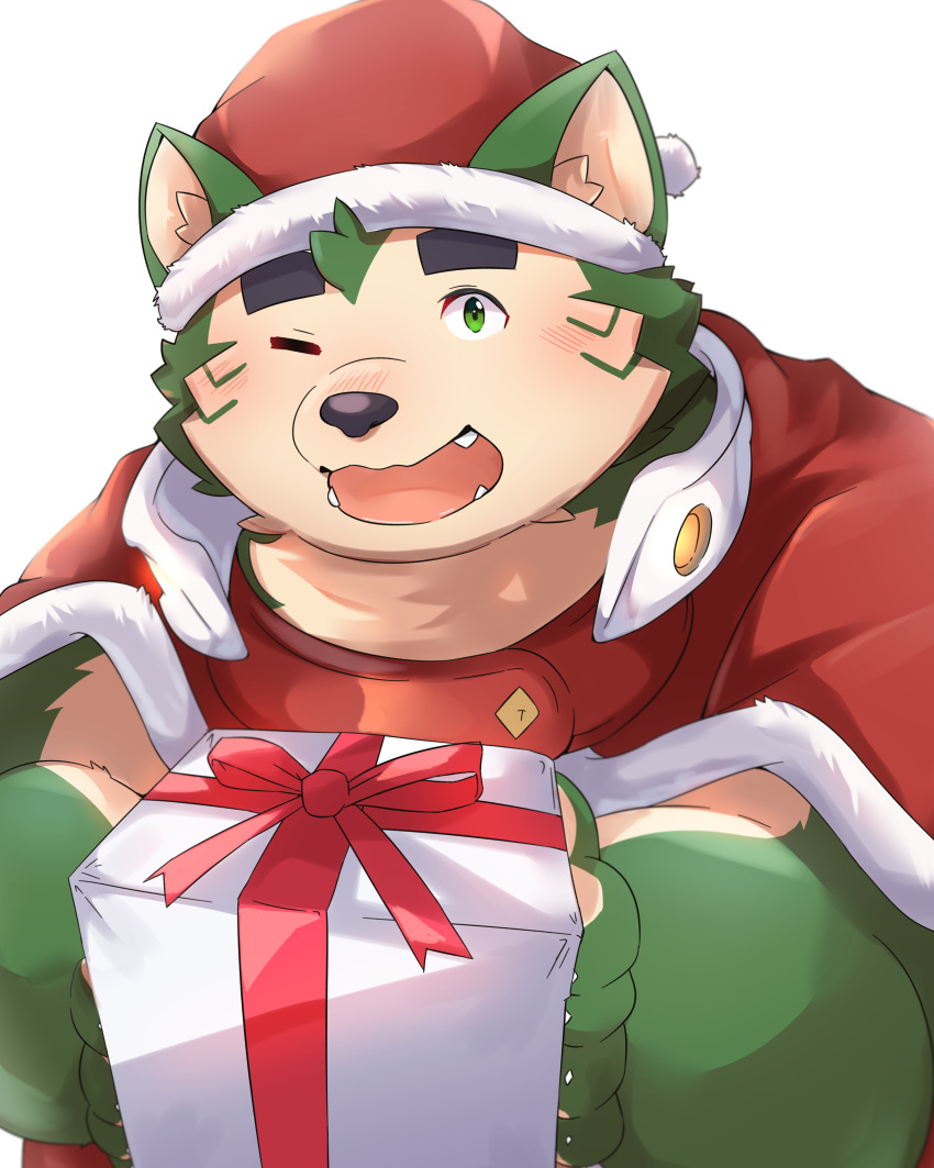 absurd_res anthro blush canid canine canis christmas christmas_clothing christmas_headwear clothing domestic_dog eyebrows fur gift green_body green_fur hat headgear headwear hi_res holidays kaju0318_p lifewonders live-a-hero male mammal mokdai one_eye_closed santa_hat smile solo thick_eyebrows wink