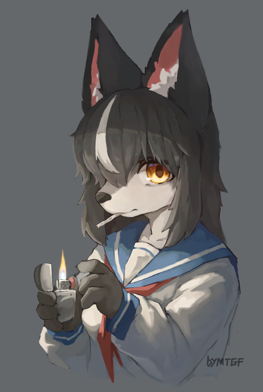 2022 4_fingers amber_eyes anthro black_nose breasts bust_portrait canid canine canis cigarette cigarette_in_mouth claws clothed clothing countershading digital_media_(artwork) female female_anthro finger_claws fingers fur grey_background grey_body grey_fur grey_hair hair hair_over_eye hi_res holding_object inner_ear_fluff japanese_school_uniform kemono lighter long_hair mammal mouth_hold multicolored_body multicolored_fur multicolored_hair one_eye_obstructed portrait school_uniform simple_background solo tuft uniform white_body white_fur white_hair wolf xiao_lijun