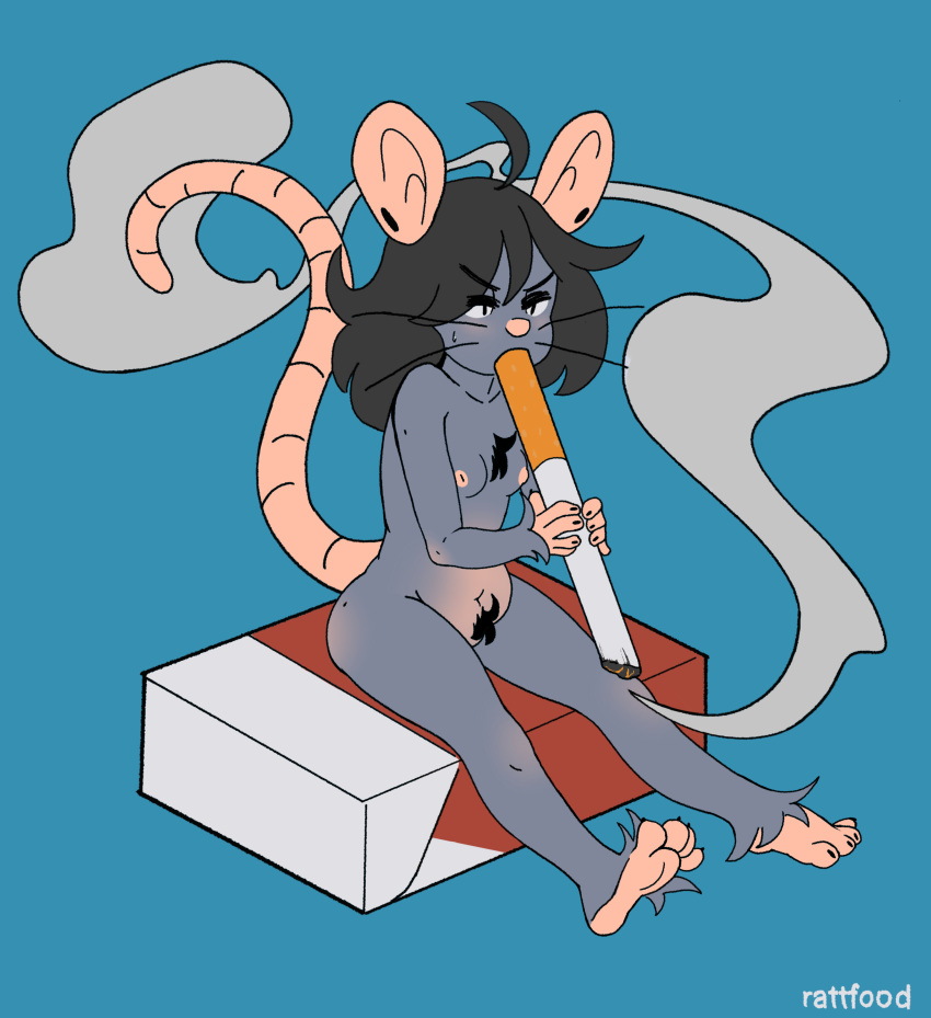 absurd_res anthro body_hair breasts chest_tuft chibi cigarette feet female happy_trail hi_res mammal morgan_(rattfood) murid murine nipples paws pubes rat rattfood rodent smoking solo tuft