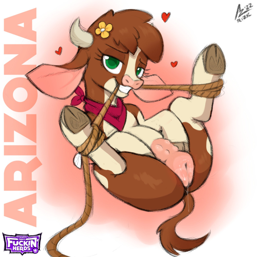 &lt;3 1:1 2022 accessory aer0_zer0 anatomically_correct arizona_cow_(tfh) bdsm bedroom_eyes bondage bound bovid bovid_horn bovine brown_body brown_fur brown_hair cattle cloven_hooves digital_drawing_(artwork) digital_media_(artwork) female feral flower flower_in_hair fur genitals green_eyes grin hair hair_accessory hereford_cattle hi_res hooves horn kerchief looking_at_viewer lying mammal mouth_hold multicolored_body multicolored_fur narrowed_eyes neckerchief on_back plant presenting pussy red_kerchief red_neckerchief restraints rope rope_bondage seductive smile solo tan_body tan_fur them's_fightin'_herds two_tone_body two_tone_fur