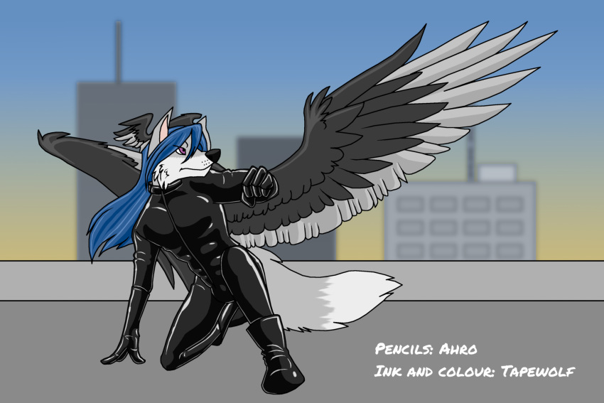 2022 ahro anthro back_wings black_body black_feathers black_latex black_nose blue_hair boots building bulge canid canine clothing daryil_(tapewolf) day demon dipstick_tail feathered_wings feathers fist footwear fox fur glistening glistening_clothing gloves grey_body grey_feathers grey_fur hair hand_on_ground handwear head_wings hi_res kneeling latex_gloves long_hair looking_forward male mammal markings outside purple_eyes rubber rubber_clothing rubber_suit signature sky solo spread_wings superhero_landing tail_markings tapewolf white_body white_fur wings