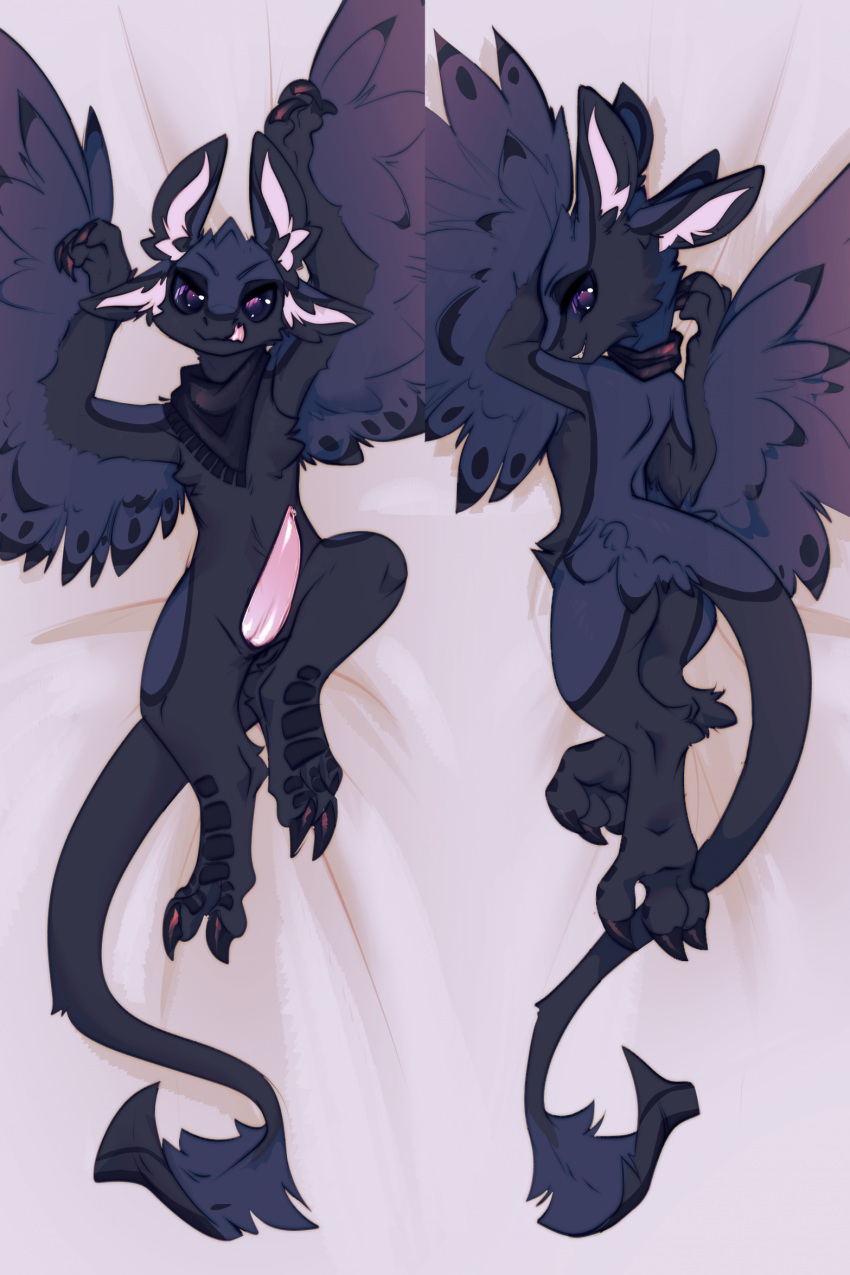 2022 4_ears anthro avali black_body black_fur bodily_fluids butt claws dakimakura_design dakimakura_pose erection feathers feet fur genital_fluids genitals hi_res looking_at_viewer lying male mostly_nude multi_ear nude on_back paws penis precum presenting presenting_hindquarters presenting_penis scarf scarf_only solo vincher vortex_(vortexsleeps) winged_arms wings
